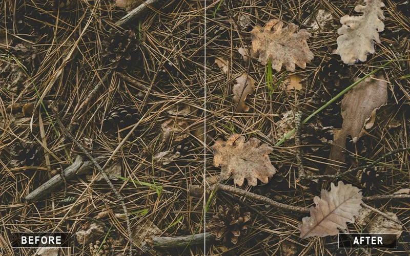 autumn leaves overlay, maple leaf overlays, green leaf overlays, oak leaf overlays, willow leaf overlays, ivy leaf overlays