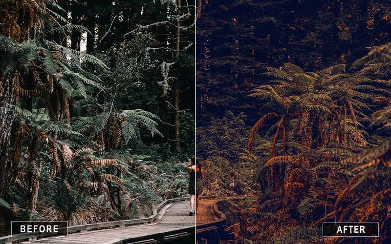 outdoor camera raw film presets, bright film presets, moody analog presets, camera raw retro film