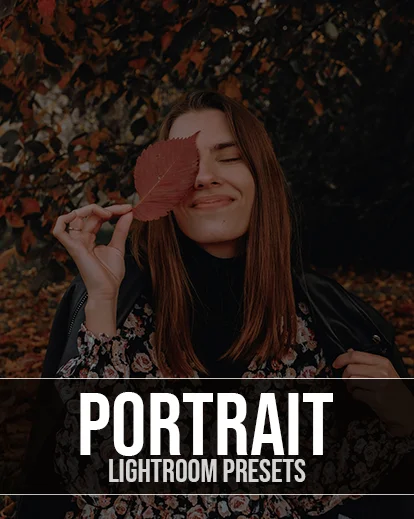 lightroom bundle, best portrait lightroom presets best photography add ons