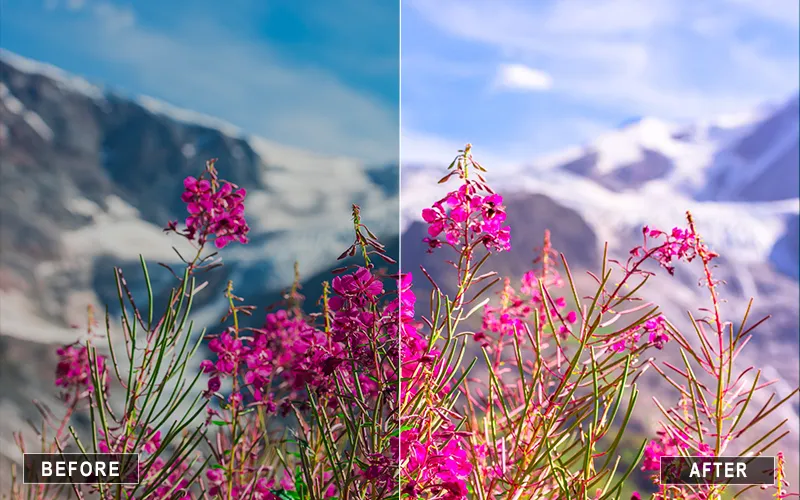 Pastel Preset Lightroom Mobile, Mobile Lightroom Presets For Pastel Edits