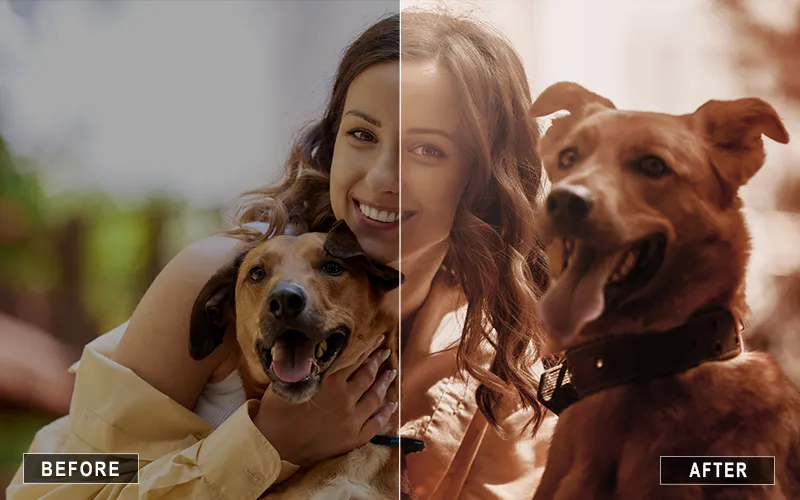 pet color pop ps actions, dog retouching actions, cat photoshop effects