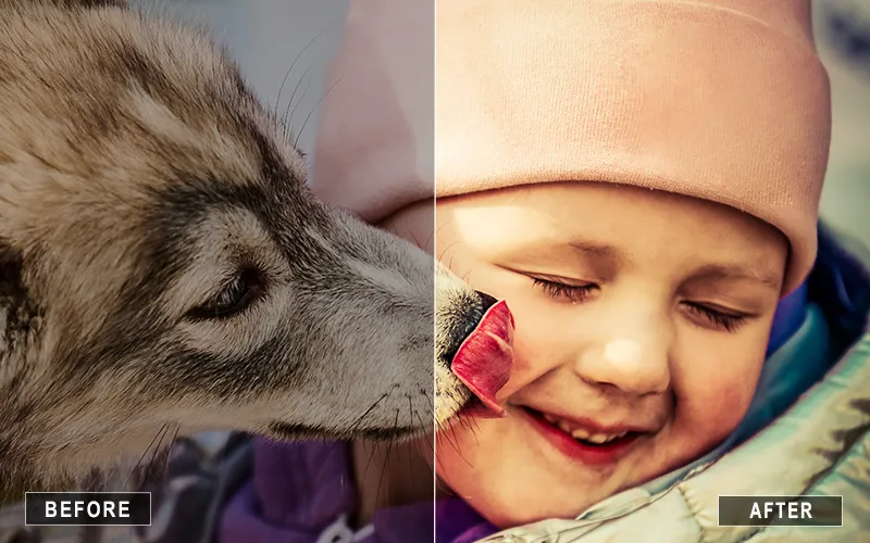 pet photography presets, realistic animal presets, camera raw animal workflow