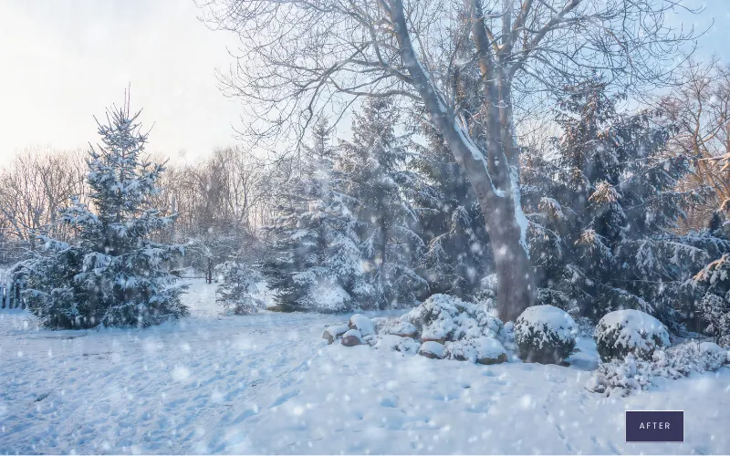 Photoshop Snow Overlays after