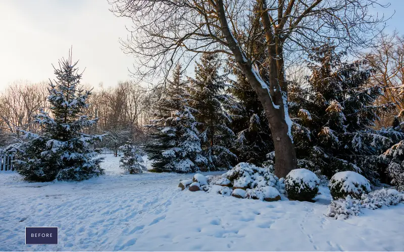 Photoshop Snow Overlays before