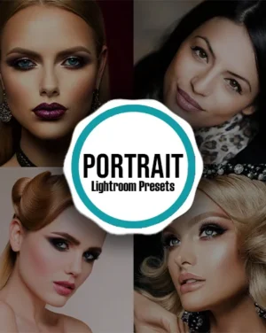 portrait Lightroom presets one dollar deals