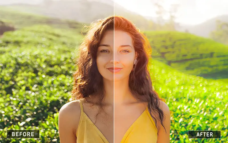 preset lightroom dark nature, dark yellow preset