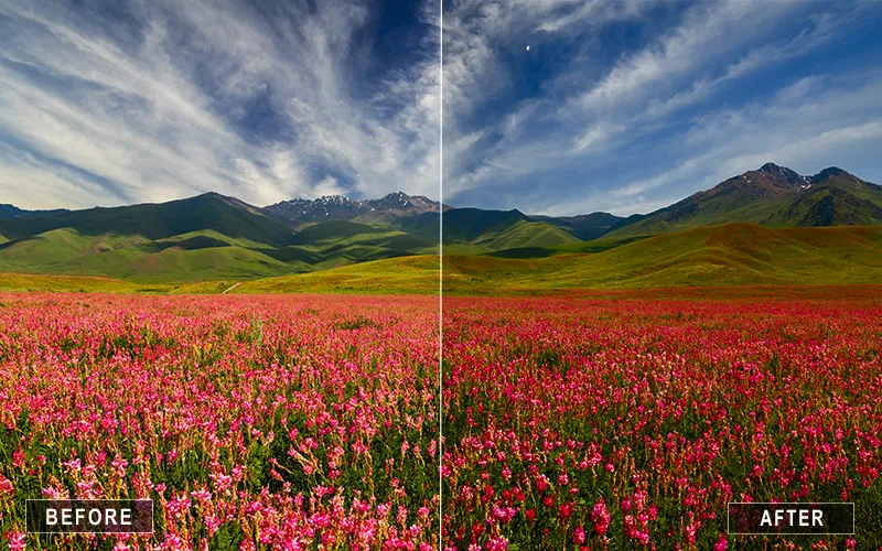 Realistic Photoshop Actions