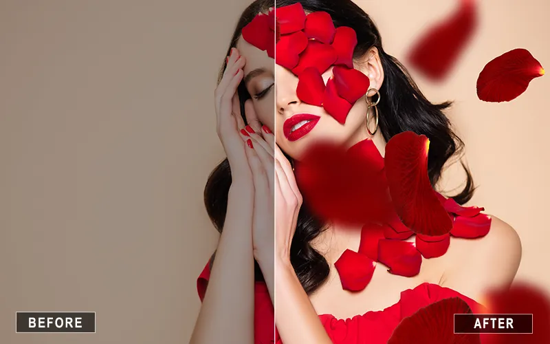 Red Petal Overlays, Red rose flower petal overlays