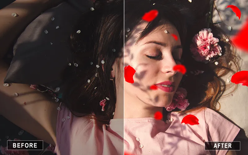 Rose Petal Overlays, Red petal Overlays for Photo Editing