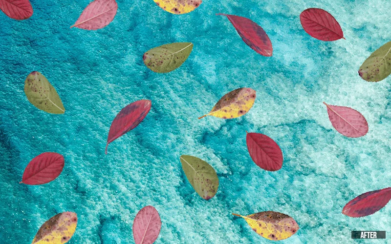 after: Autumn Leaves Overlay