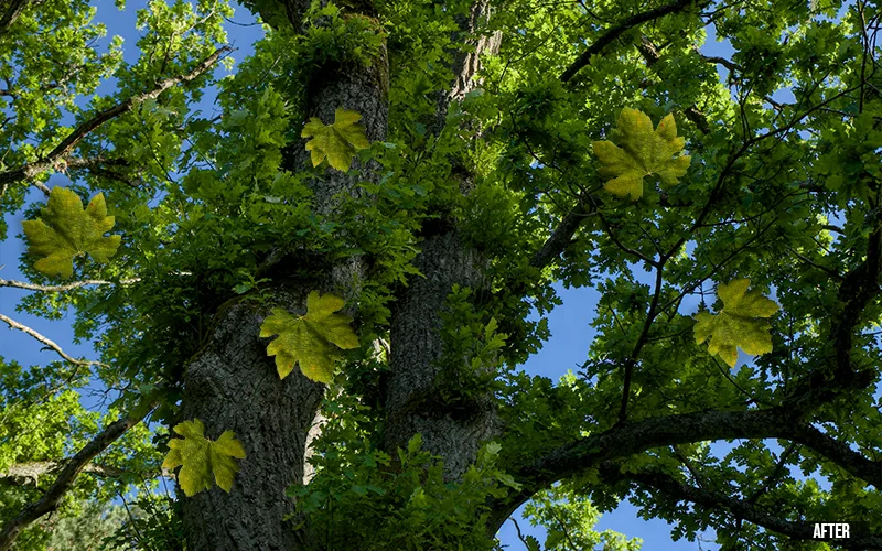 after: Green Leaf Overlays