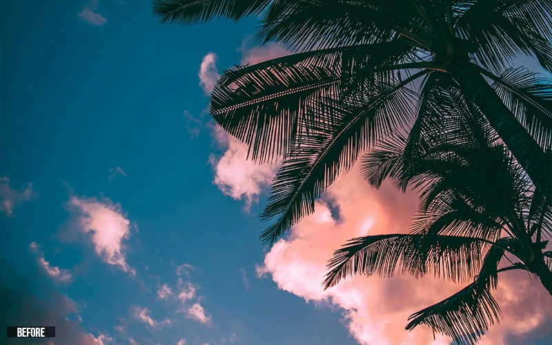 Warm Haze Sun Overlay1