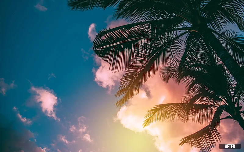 Warm Haze Sun Overlay​2