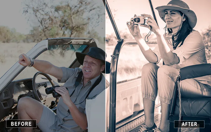 safari photography presets, animal photography presets, wildlife photography presets
