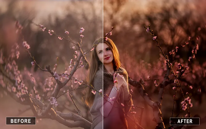 Soft Black Photoshop Actions, Dark PS Actions