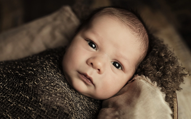 Soft Brown Newborn Photoshop Actions