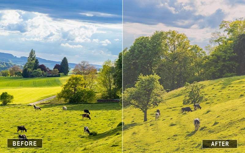 soft camera raw film presets, moody film presets, warm film presets, faded film presets