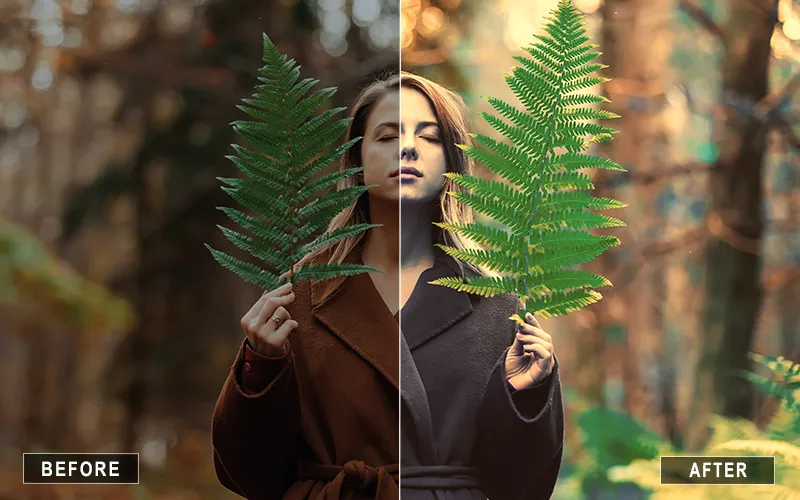 spring ps action, photoshop actions for all seasons, seasonal photoshop effects, spring photoshop actions