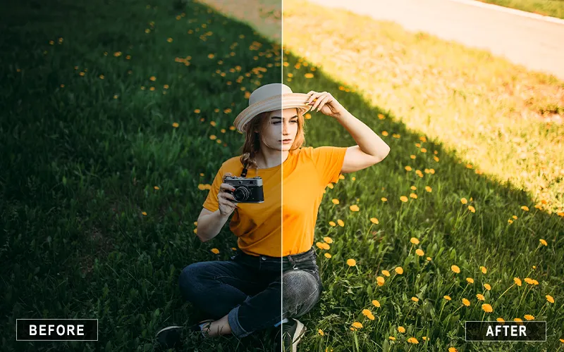 Sunny Instagram Camera Raw Presets, Presets For Sunny Edits in Camera Raw