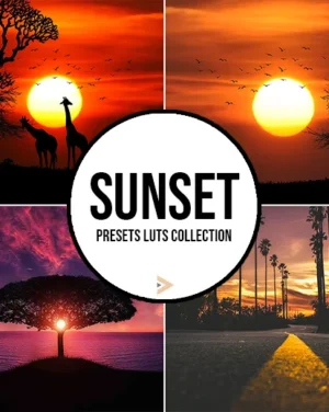 sunset LUTs & one dollar deals