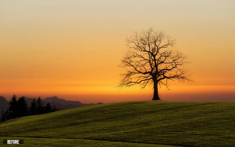 scenic landscape