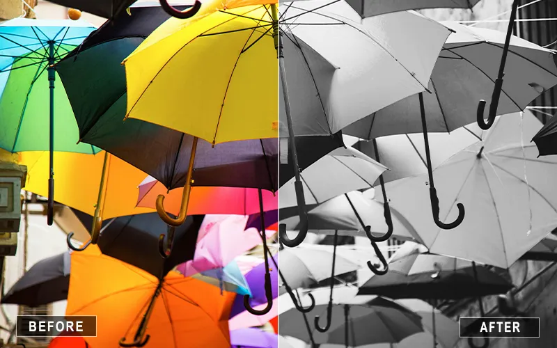 vibrant black white actions