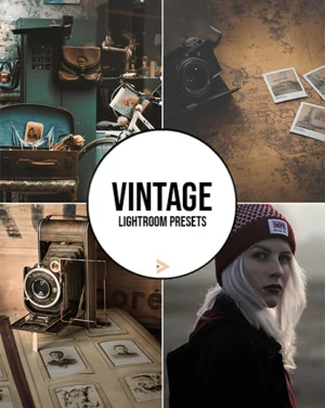 lightroom bundle, Vintage LR presets