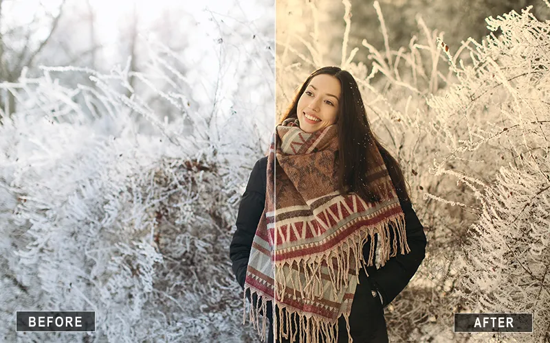 Warm Photoshop Actions