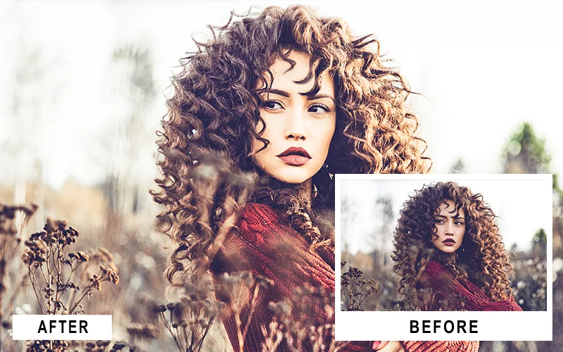 Warm Portrait LR Preset