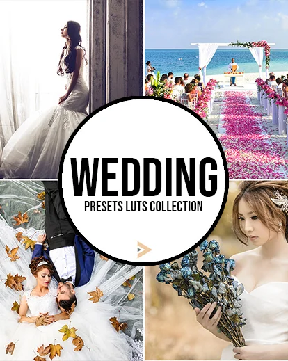 one dollar deals: Wedding LUT Presets