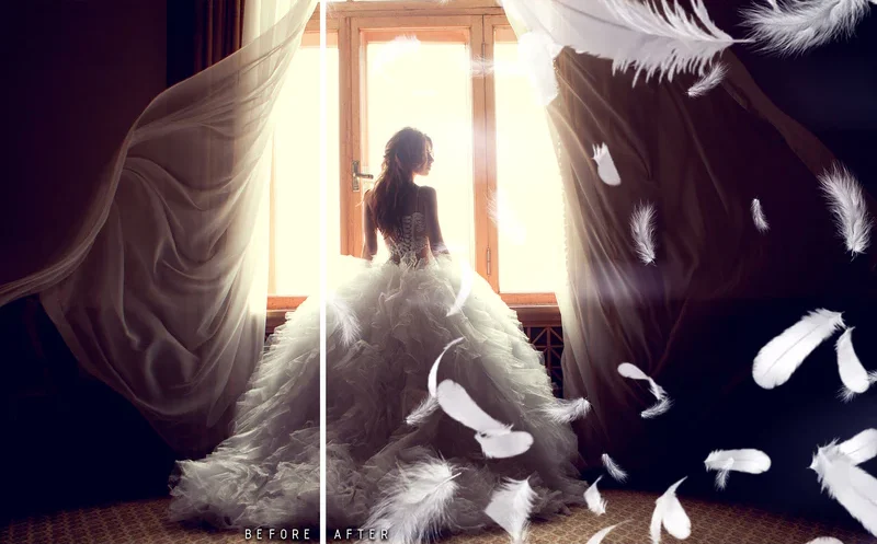 Soft White Feather Overlays