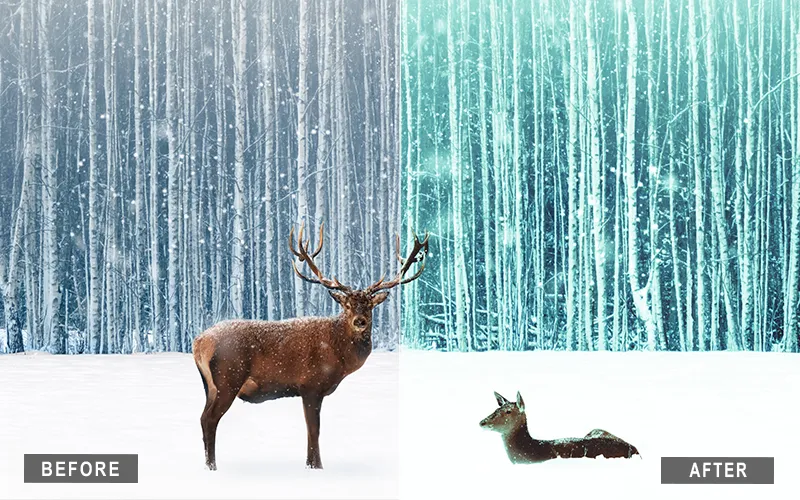 Wild Nature Preset LUTs, nature LUTs