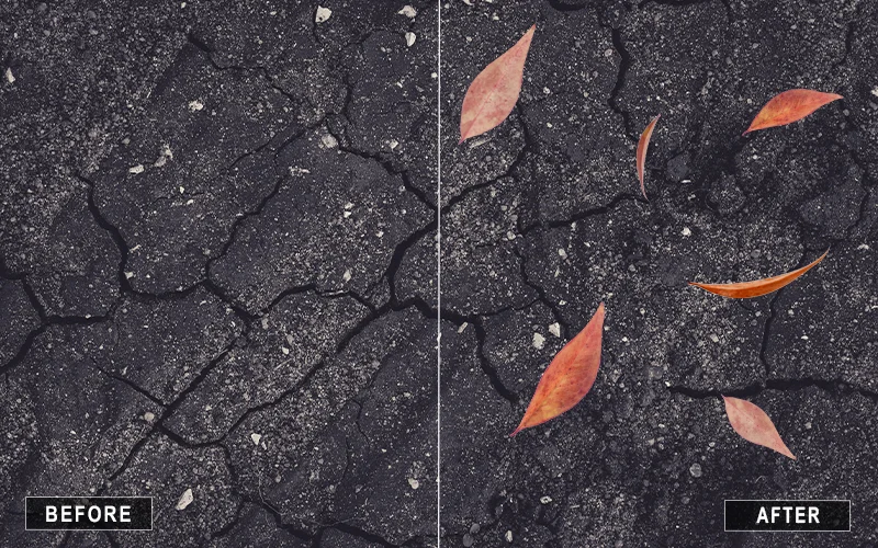 autumn leaves overlay, maple leaf overlays, green leaf overlays, oak leaf overlays, willow leaf overlays, ivy leaf overlays