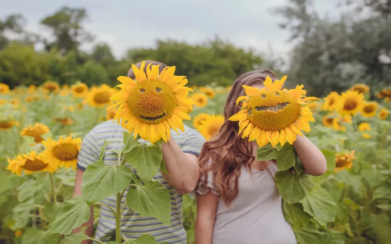 couple holding sunflower over their face to pose for a photo shoot