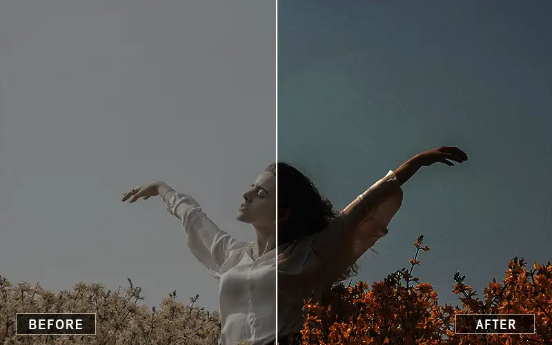Luxury Fine Art Presets