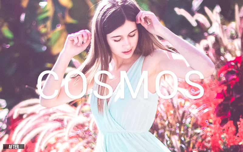 cosmos