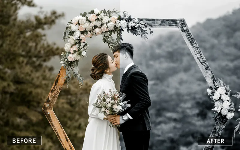 Adobe lightroom black and white presets