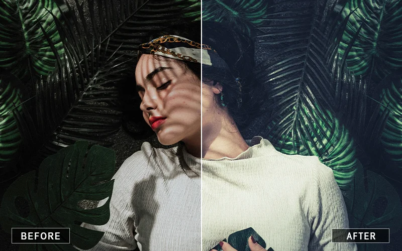 aesthetic portrait Camera Raw presets