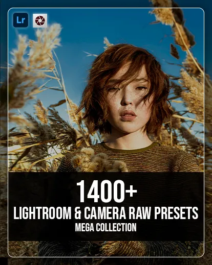 all lightroom and camera raw presets collection- feature