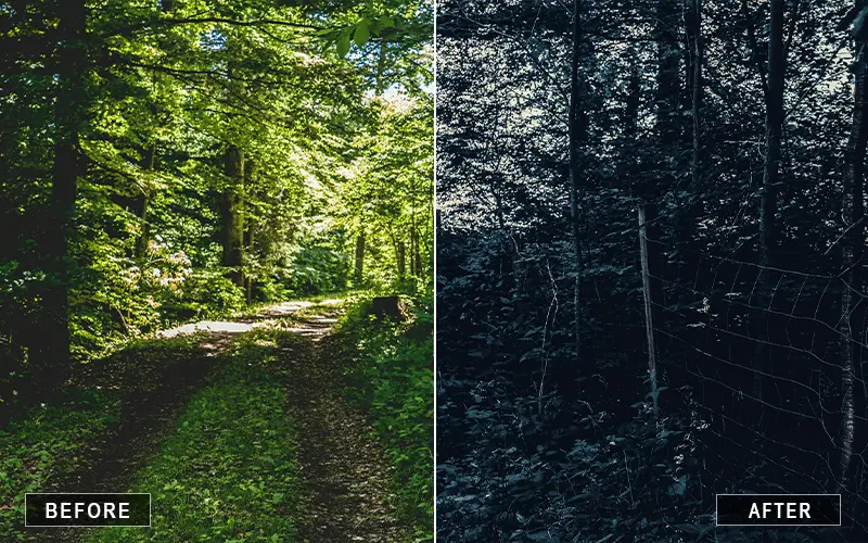 Lightroom Mobile Presets Dark Mode