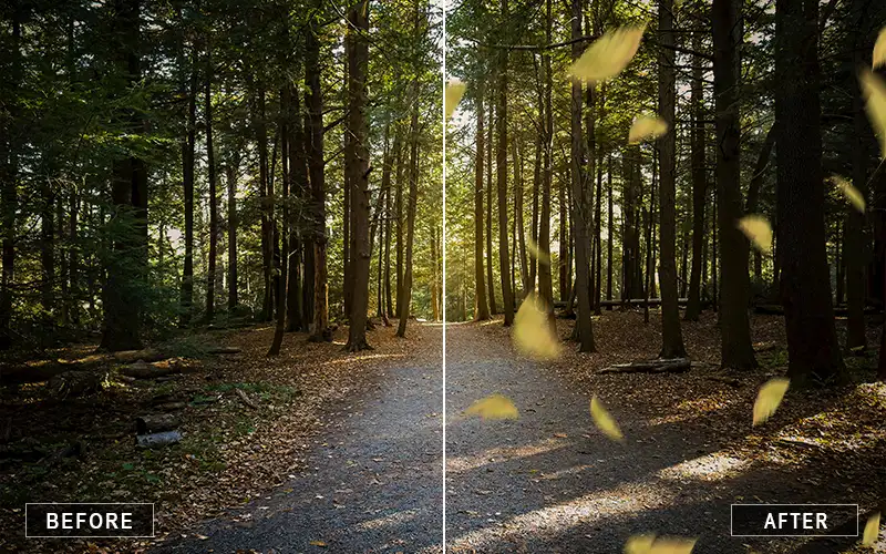 Yellow Leaf Overlays, leaf overlay PNG, leaf overlay bundle, digital leaf overlays