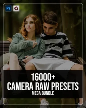 best camera raw presets