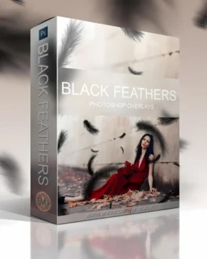 black feather overlays