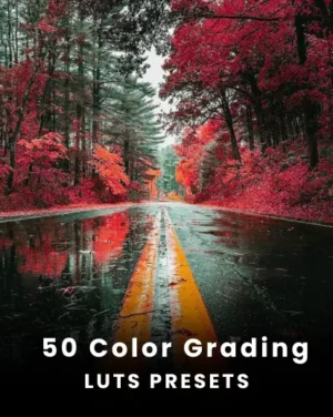 color grading luts featured image