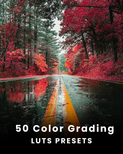 color grading luts featured image