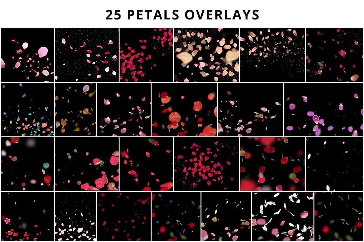 flower petal effect
