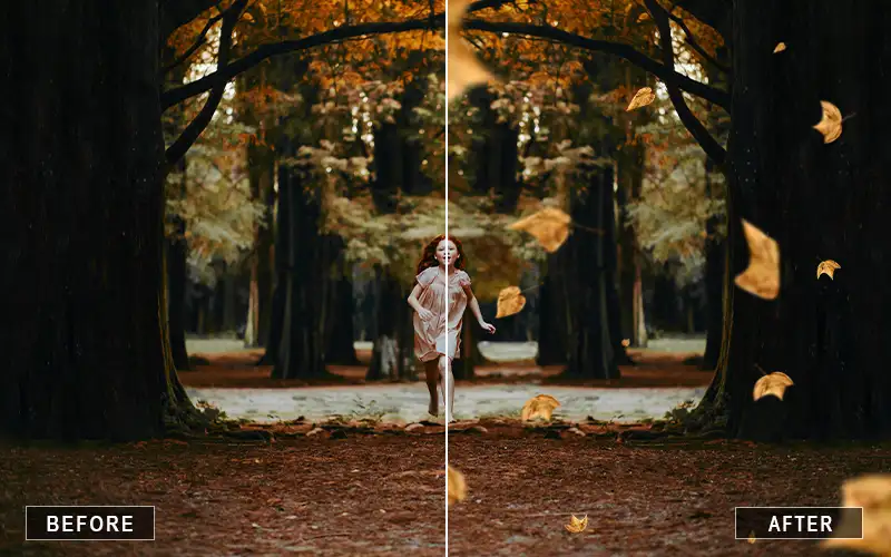 leaf overlays, fall leaf overlays, autumn leaf overlays, green leaf overlays