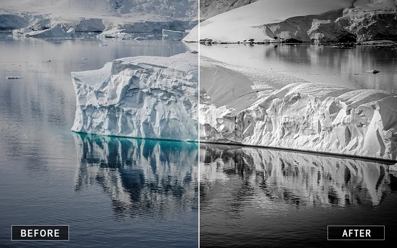 black and white LR presets