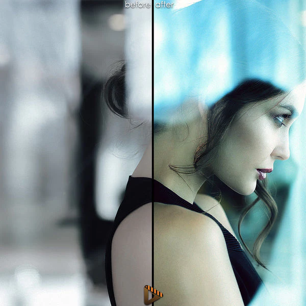 luminar lut presets