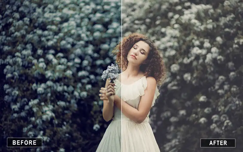 matte dream Lightroom presets